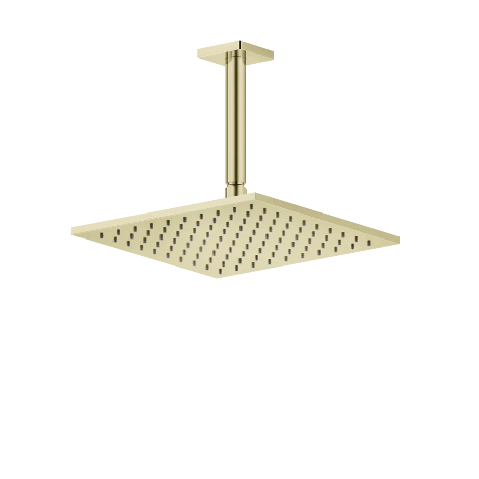 Gessi Rilievo pomme de douche hauteur plafond personnalisable 59159 Gessi Rilievo pomme de douche hauteur plafond personnalisable 59159