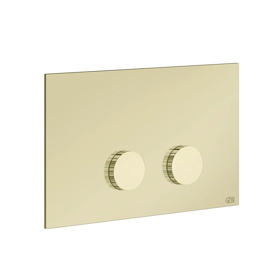 Gessi Ingranaggio plaque de WC pour Sanit 54643 Gessi Ingranaggio plaque de WC pour Sanit 54643
