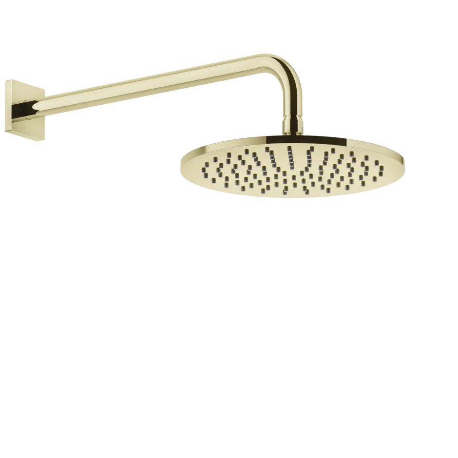 Gessi Rilievo pomme de douche mural 59148 Gessi Rilievo pomme de douche mural 59148