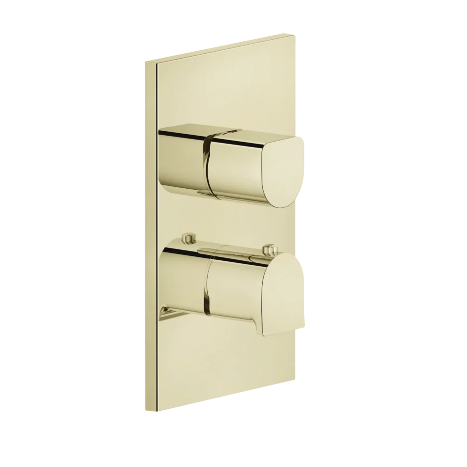Gessi Rilievo mitigeur thermostatique de douche 59132 + 09269 Gessi Rilievo mitigeur thermostatique de douche 59132 + 09269