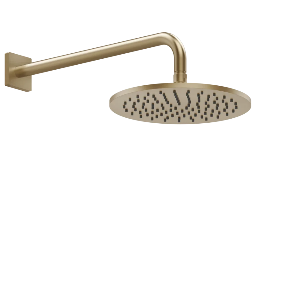 Gessi Rilievo pomme de douche mural 59148 Gessi Rilievo pomme de douche mural 59148