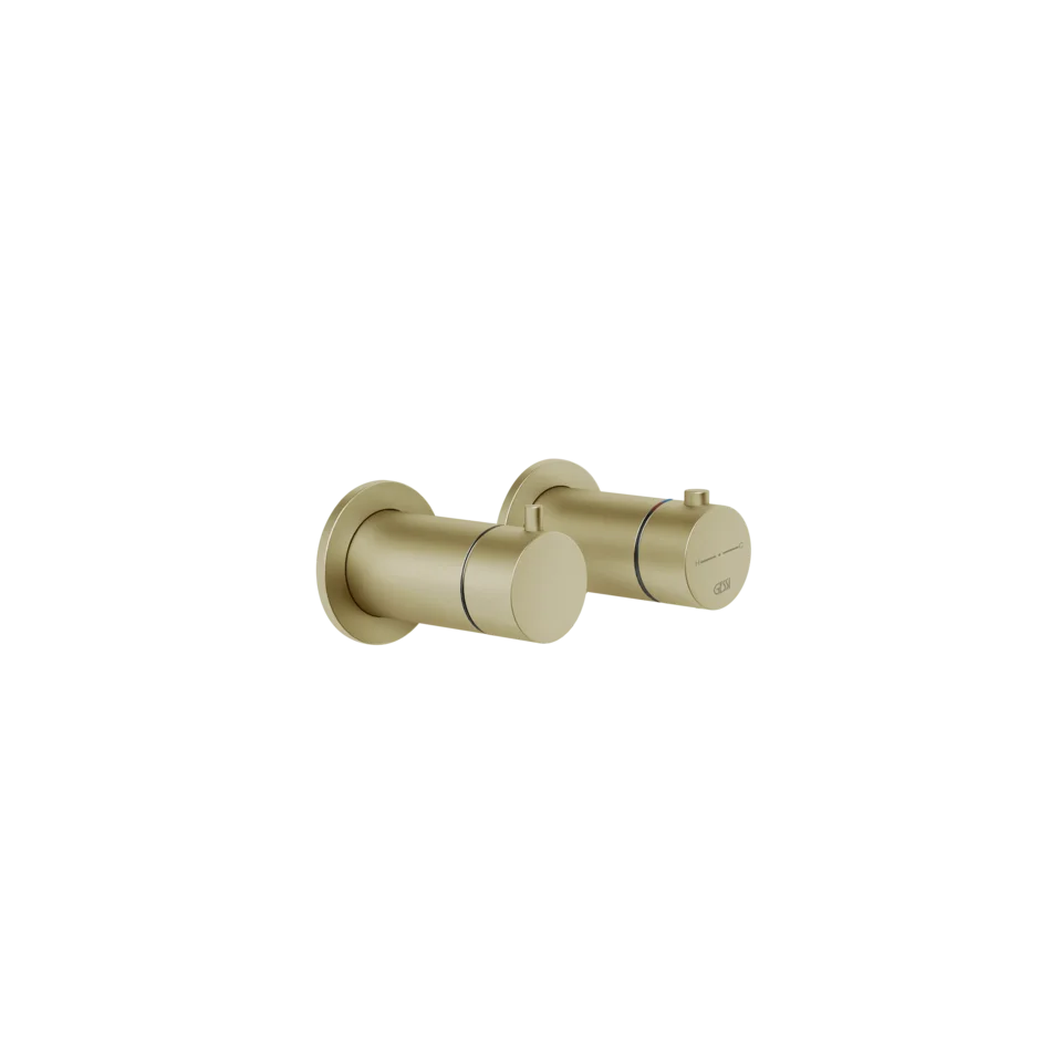 Gessi Ventaglio miscelatore doccia termostatico 2 vie 63333 + 54169 Gessi Ventaglio miscelatore doccia termostatico 2 vie 63333 + 54169