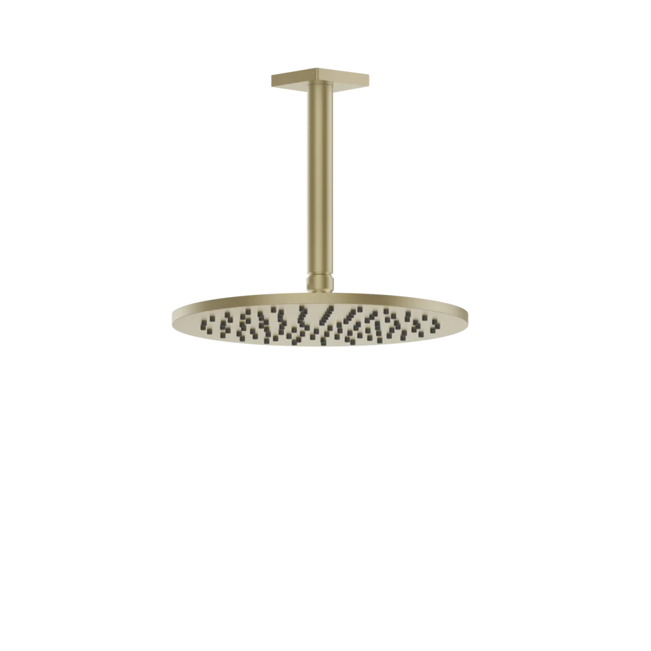 Gessi Rilievo pomme de douche de plafond 59152 Gessi Rilievo pomme de douche de plafond 59152