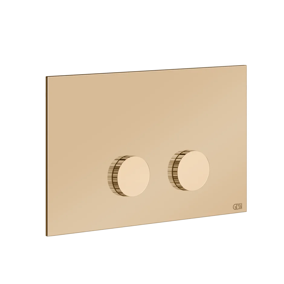 Gessi Ingranaggio plaque de WC pour Sanit 54643 Gessi Ingranaggio plaque de WC pour Sanit 54643
