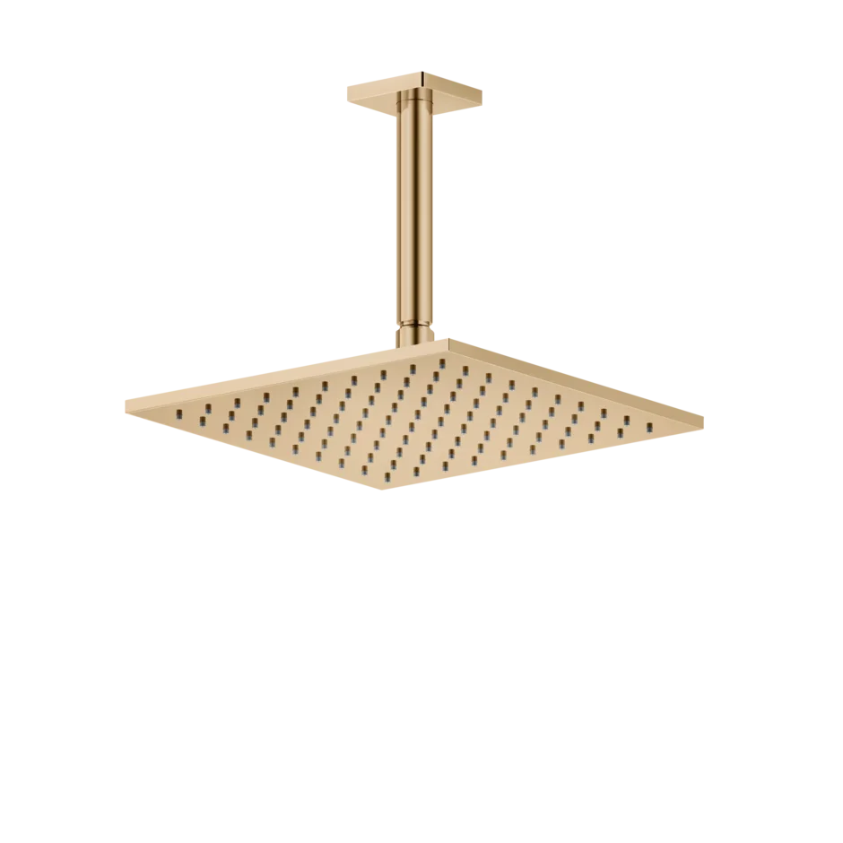 Gessi Rilievo pomme de douche hauteur plafond personnalisable 59159 Gessi Rilievo pomme de douche hauteur plafond personnalisable 59159