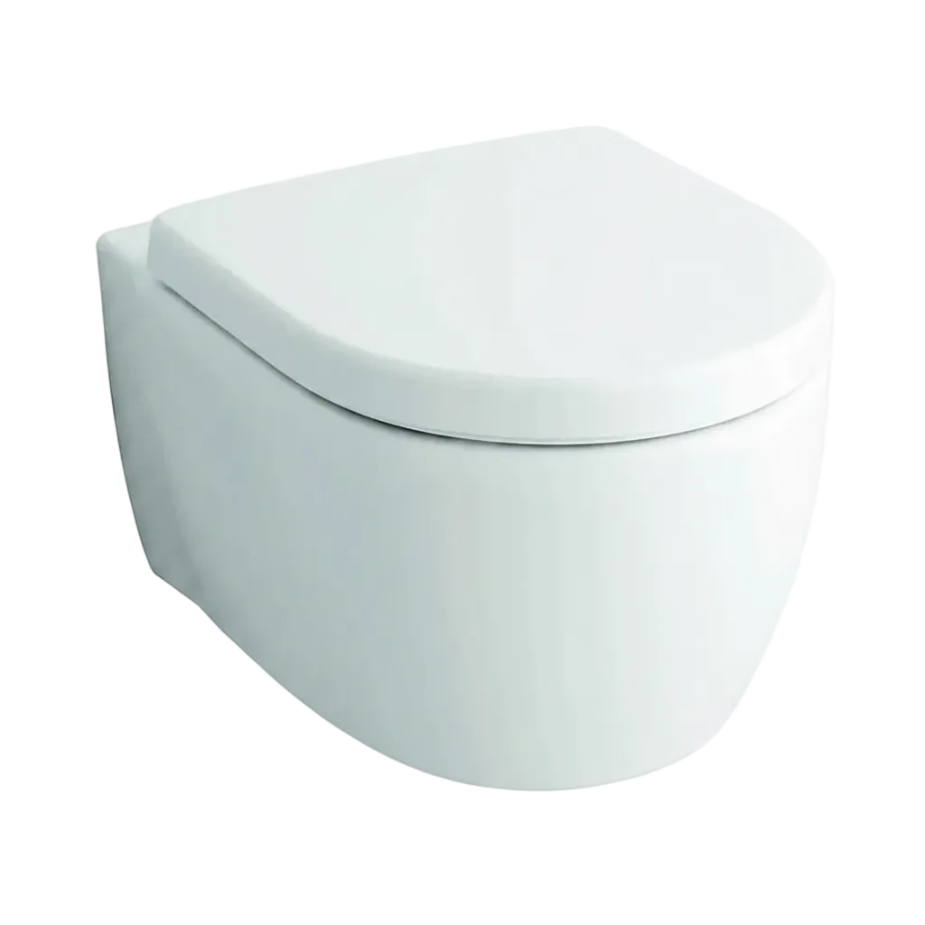 Geberit Fast wc sospeso senza brida completo di copriwater 78355000 -  bianco lucido