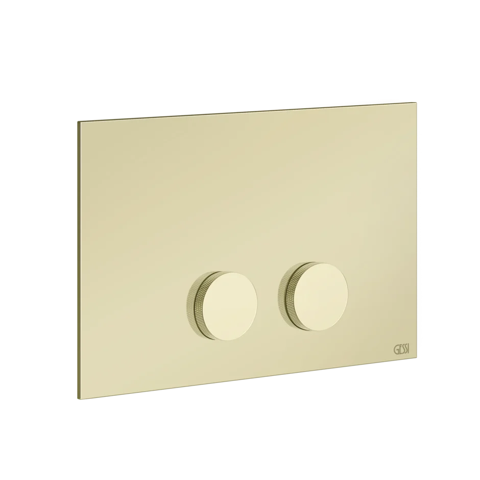 Gessi Anello plaque de toilette pour Viega 54625
