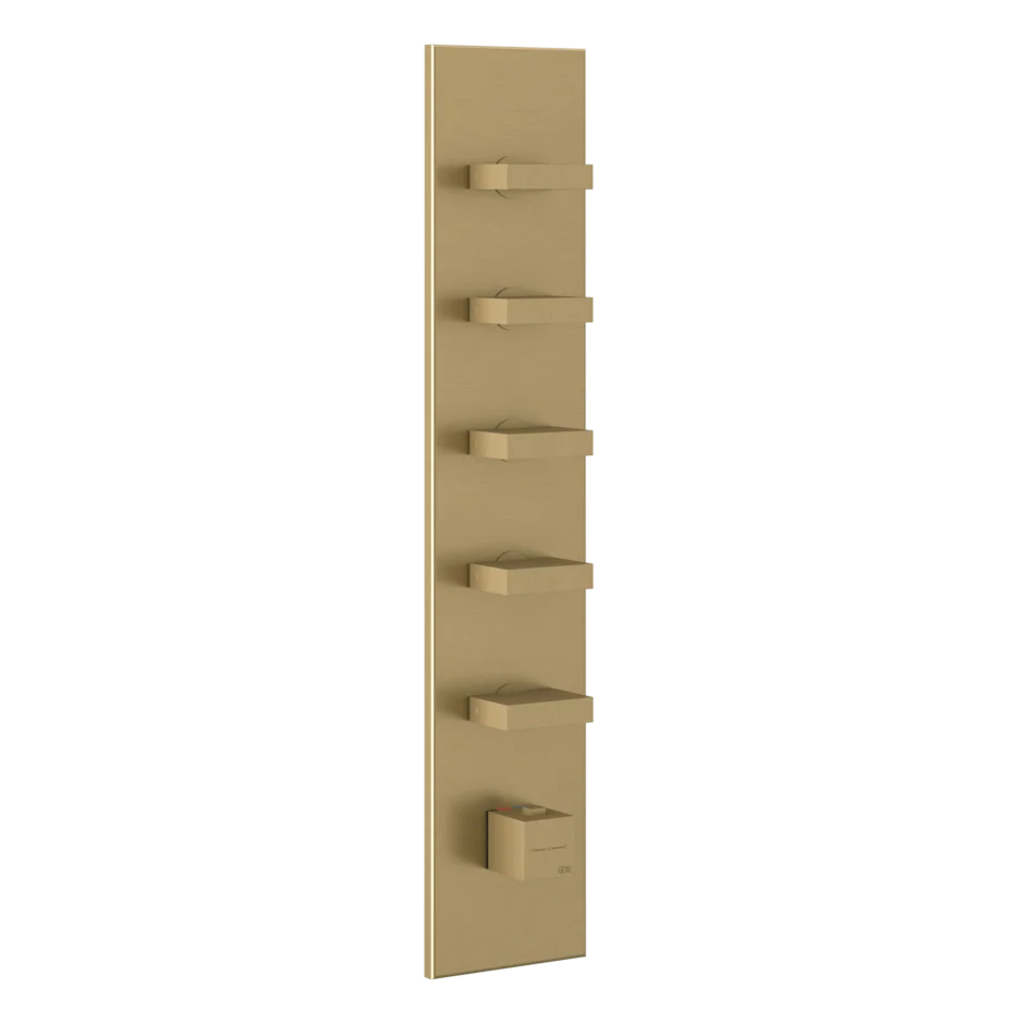 Gessi Inverso mitigeur thermostatique de douche à haut débit avec 5 voies 43030 + 43109