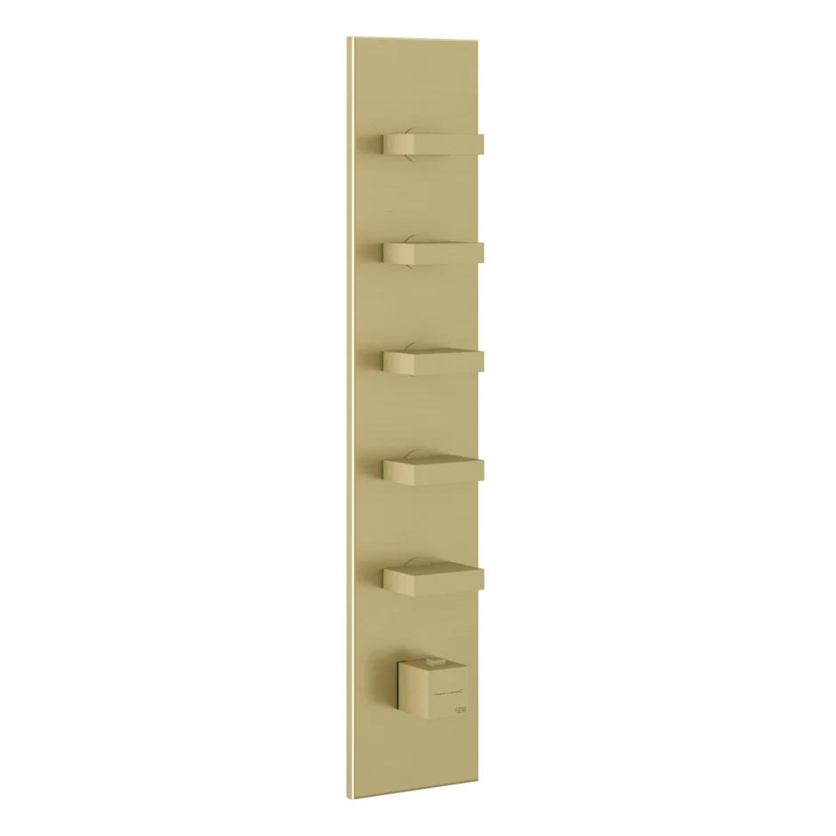 Gessi Inverso mitigeur thermostatique de douche à haut débit avec 5 voies 43030 + 43109