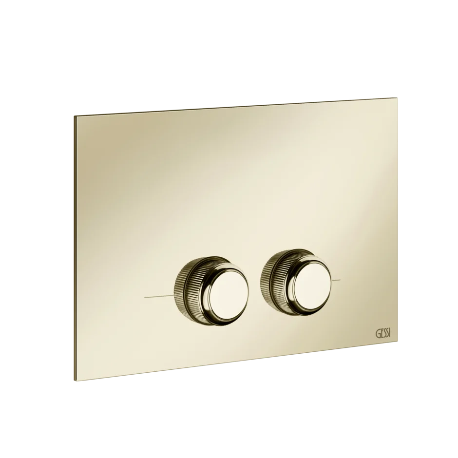 Gessi Venti20 placca wc per Tece 54657