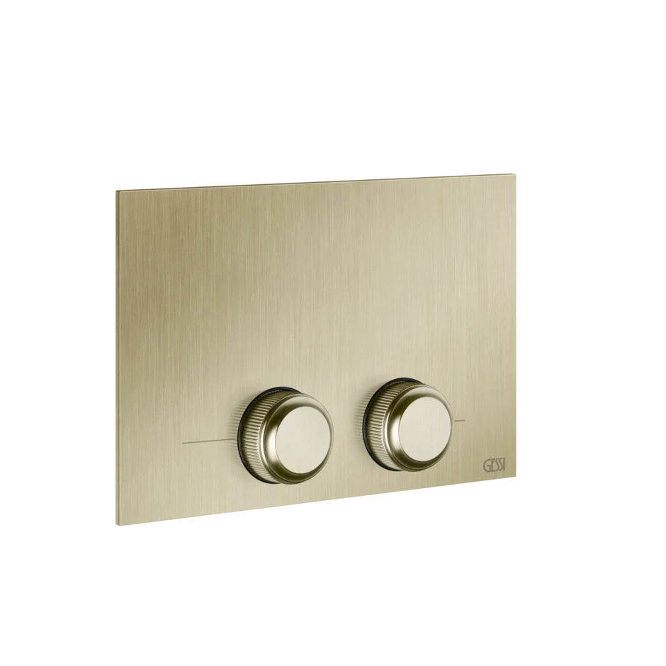 Gessi Venti20 placca wc per Tece 54657