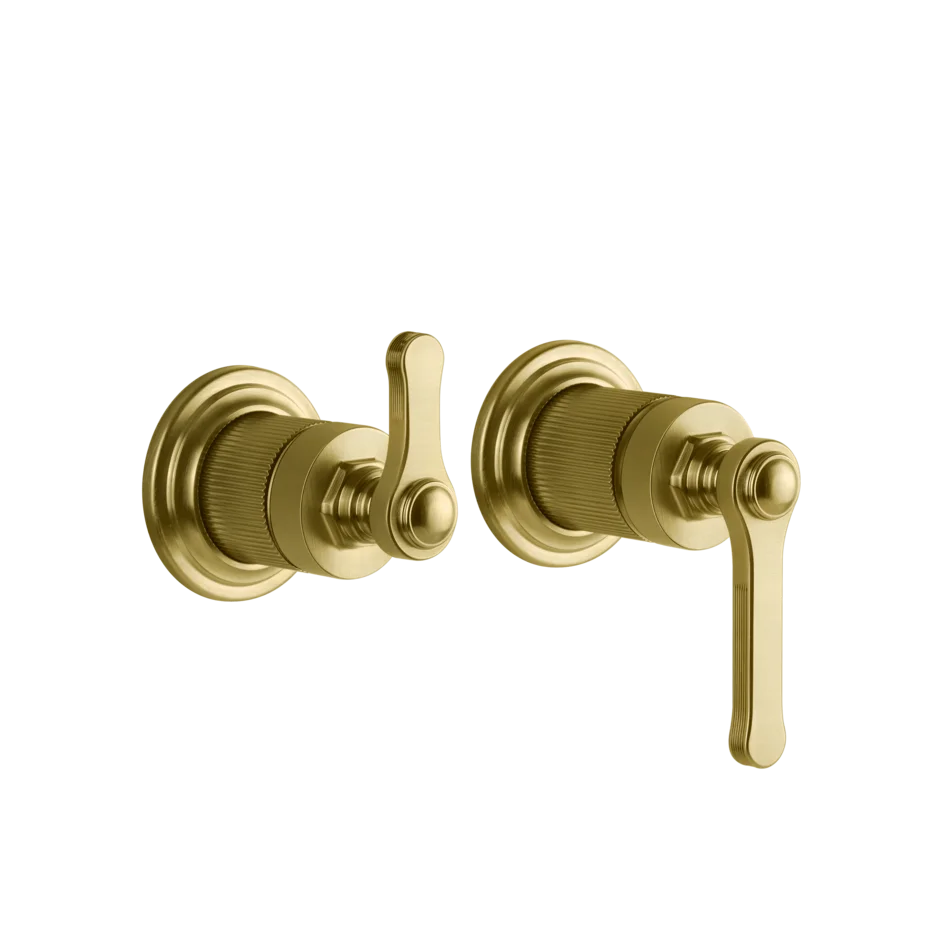 Gessi Venti20 miscelatore doccia con deviatore 2 vie 65038 + 54073