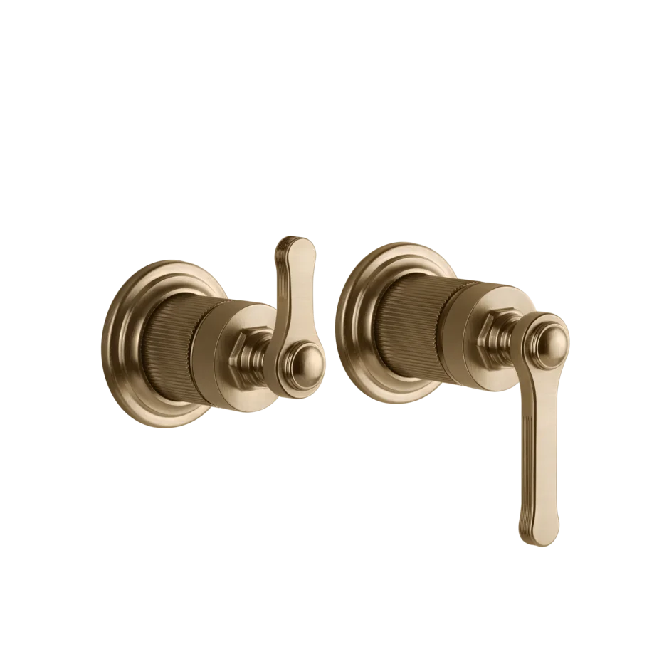 Gessi Venti20 miscelatore doccia con deviatore 2 vie 65038 + 54073