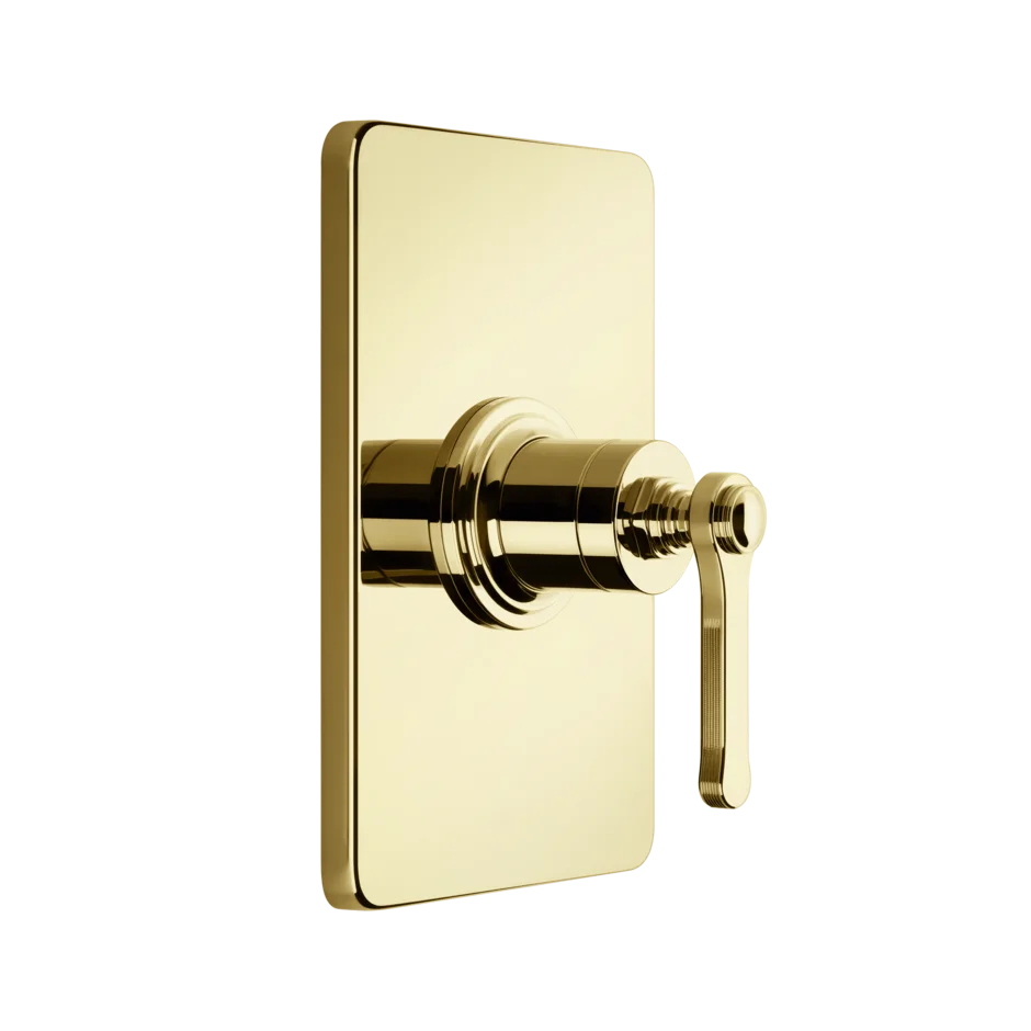 Gessi Venti20 miscelatore doccia 65061 + 44655