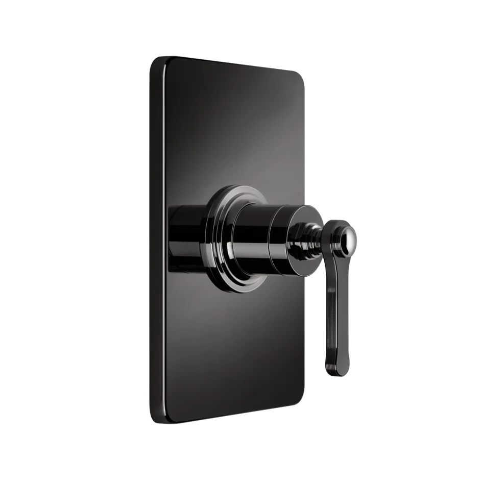 Gessi Venti20 miscelatore doccia 65061 + 44655