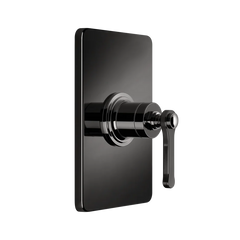 Gessi Venti20 miscelatore doccia 65061 + 44655