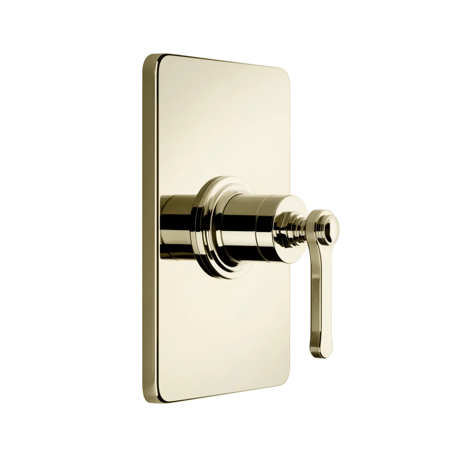 Gessi Venti20 miscelatore doccia 65061 + 44655