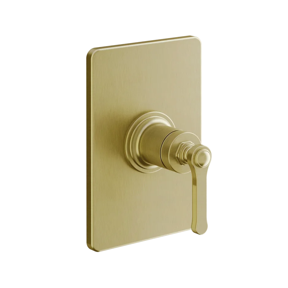 Gessi Venti20 miscelatore doccia 65061 + 44655