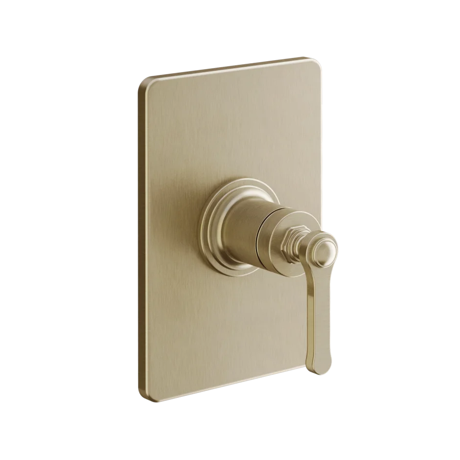 Gessi Venti20 miscelatore doccia 65061 + 44655