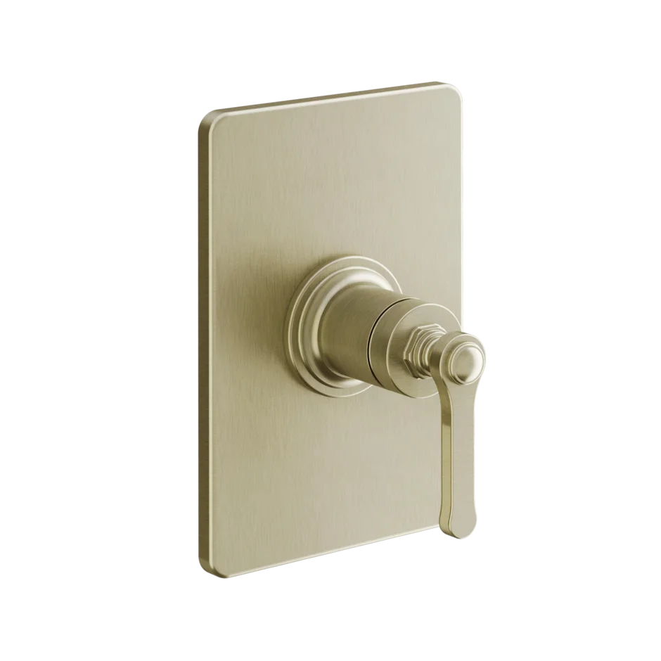 Gessi Venti20 miscelatore doccia 65061 + 44655