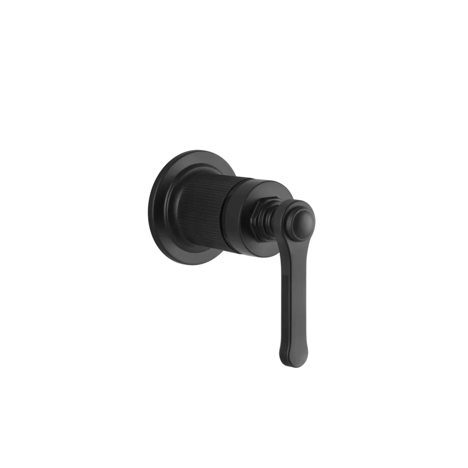 Gessi Venti20 miscelatore doccia 65131 + 54055