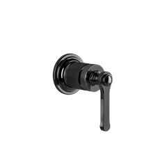 Gessi Venti20 miscelatore doccia 65131 + 54055