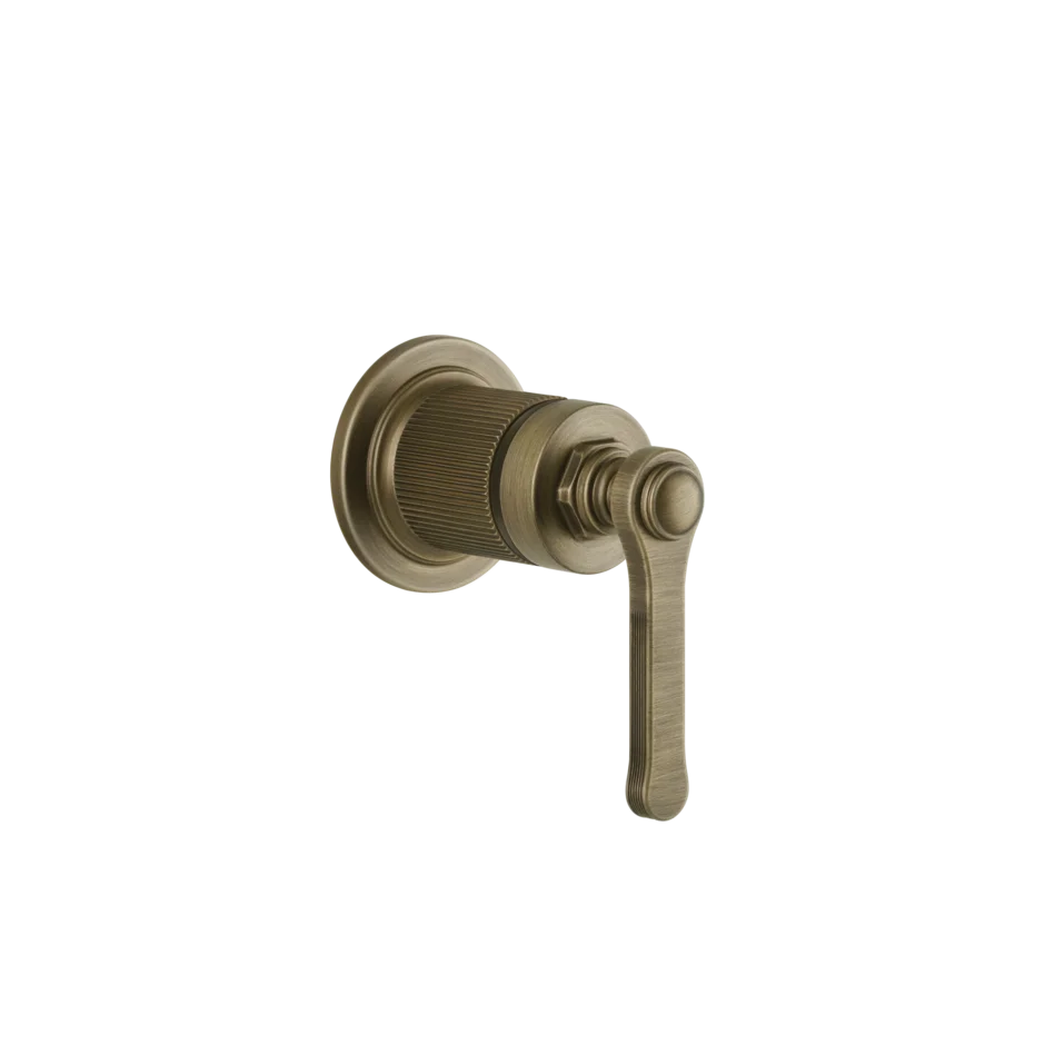 Gessi Venti20 miscelatore doccia 65131 + 54055