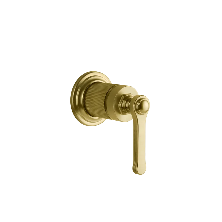 Gessi Venti20 miscelatore doccia 65131 + 54055