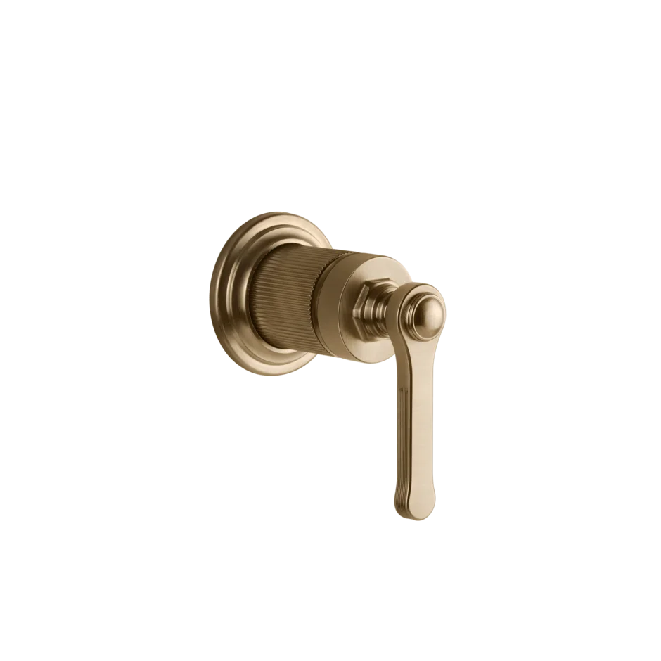 Gessi Venti20 miscelatore doccia 65131 + 54055