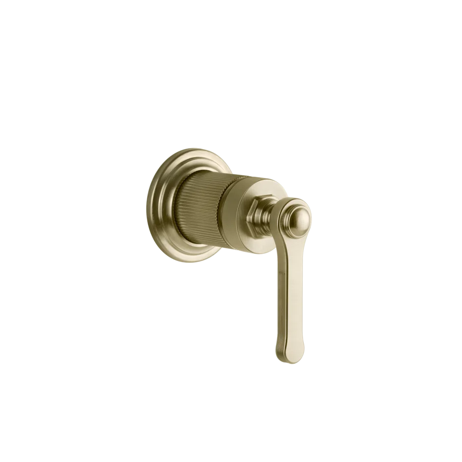 Gessi Venti20 miscelatore doccia 65131 + 54055