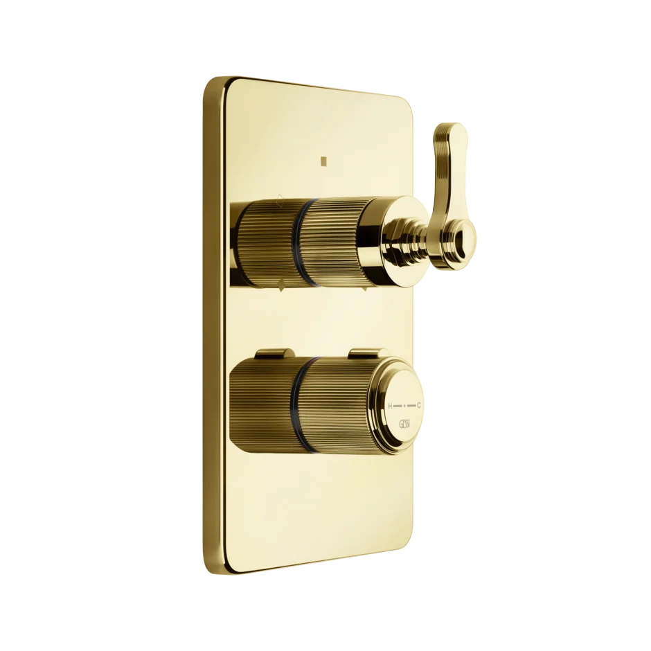 Gessi Venti20 miscelatore termostatico doccia 65133 + 09269