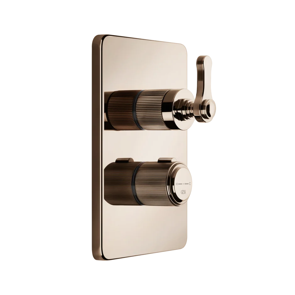 Gessi Venti20 miscelatore termostatico doccia 2 vie 65135 + 09269