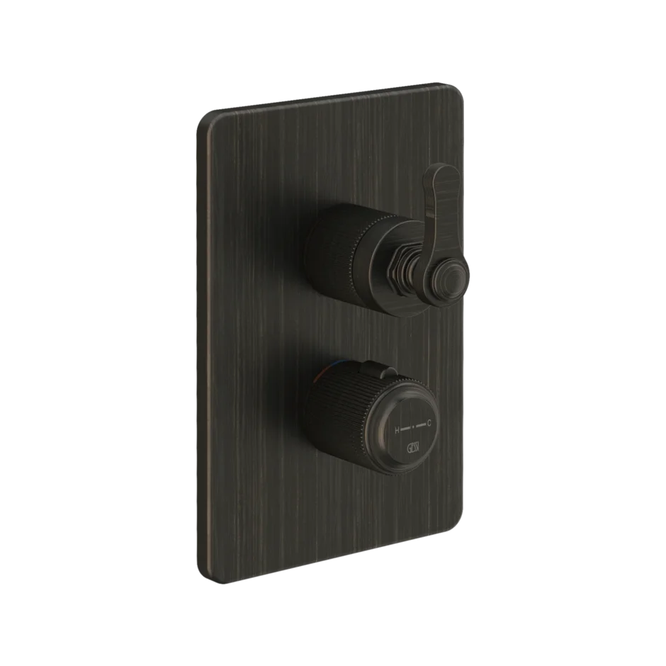 Gessi Venti20 miscelatore termostatico doccia 2 vie 65135 + 09269