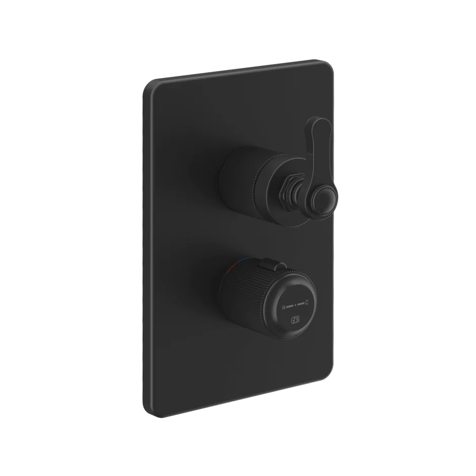 Gessi Venti20 miscelatore termostatico doccia 2 vie 65135 + 09269