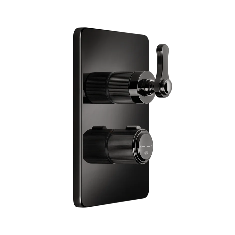 Gessi Venti20 miscelatore termostatico doccia 2 vie 65135 + 09269