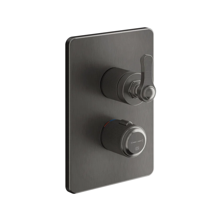 Gessi Venti20 miscelatore termostatico doccia 2 vie 65135 + 09269