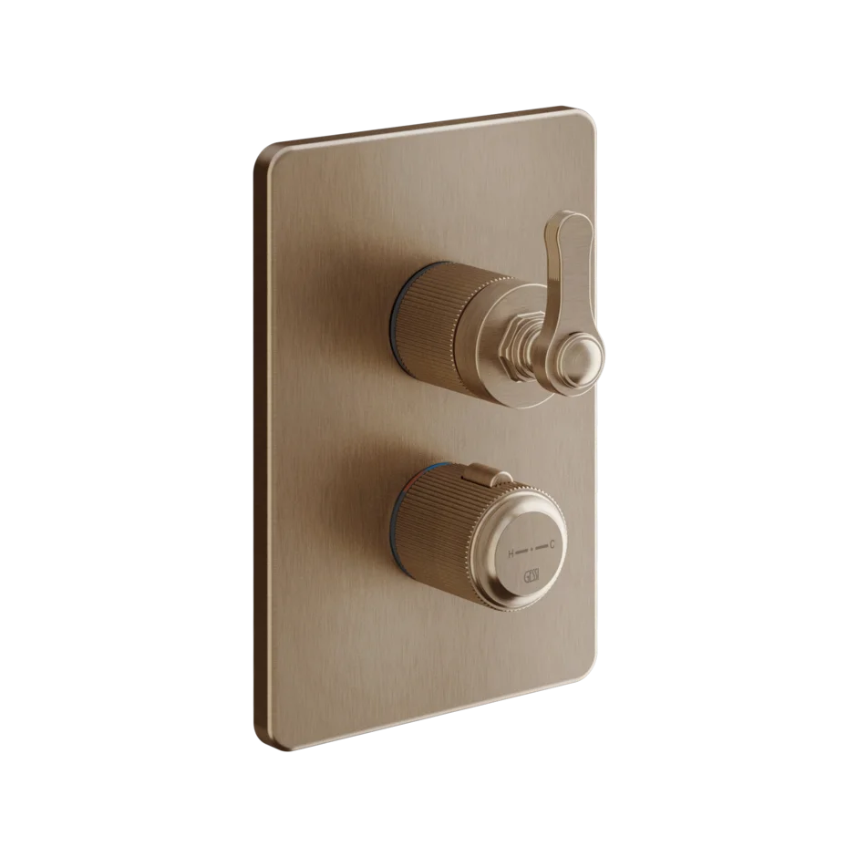 Gessi Venti20 miscelatore termostatico doccia 2 vie 65135 + 09269