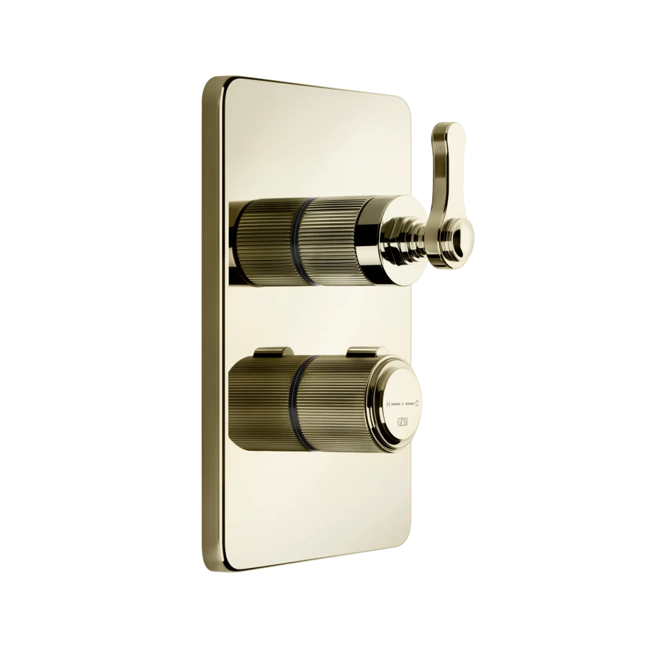 Gessi Venti20 miscelatore termostatico doccia 2 vie 65135 + 09269