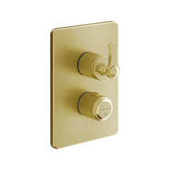 Gessi Venti20 miscelatore termostatico doccia 2 vie 65135 + 09269
