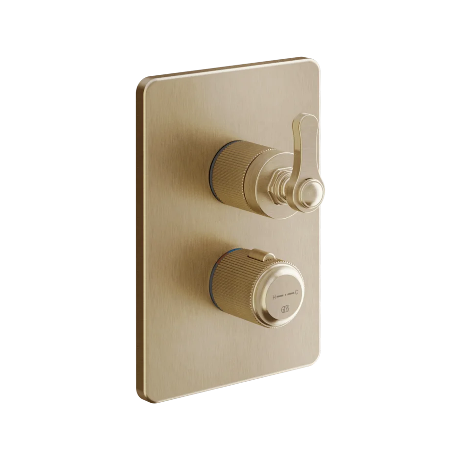 Gessi Venti20 miscelatore termostatico doccia 2 vie 65135 + 09269