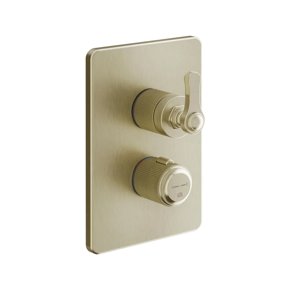 Gessi Venti20 miscelatore termostatico doccia 2 vie 65135 + 09269