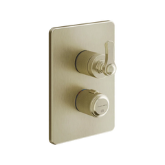 Gessi Venti20 miscelatore termostatico doccia 2 vie 65135 + 09269