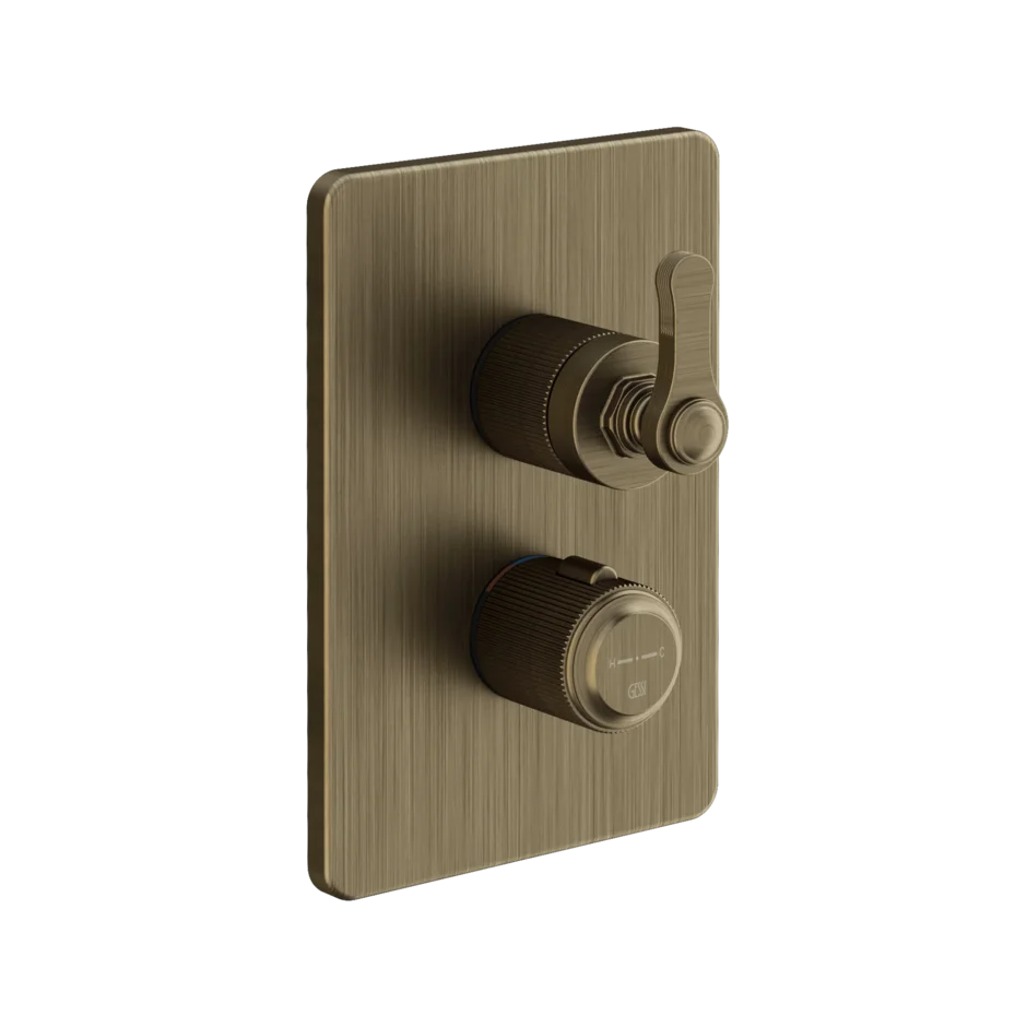 Gessi Venti20 miscelatore termostatico doccia 3 vie 65137 + 09269