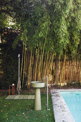 Agape Bjhon 1 lavabo su colonna scarico a parete ACER1081M